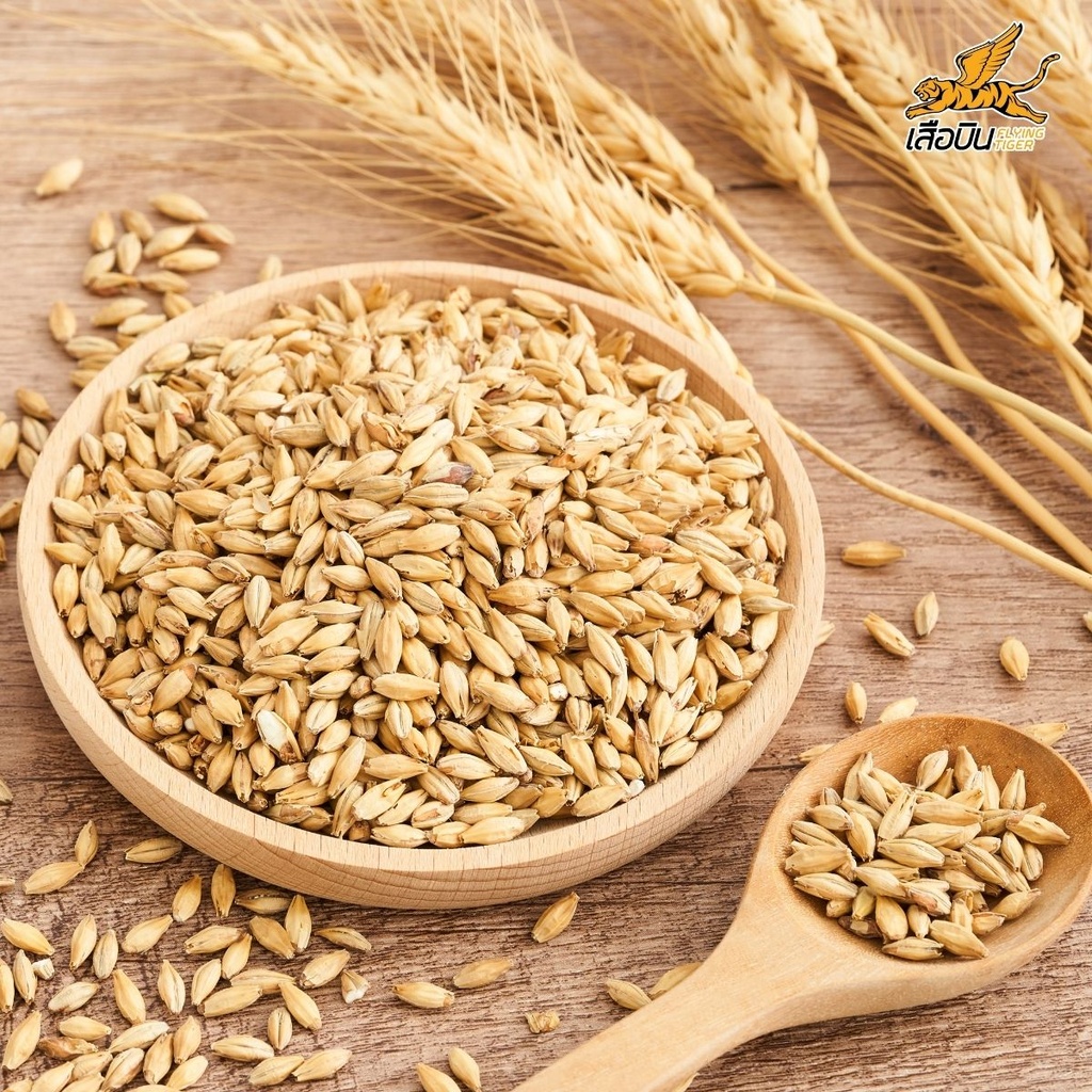 ข้าวบาร์เลย์ 500 ก. ตราเสือบิน