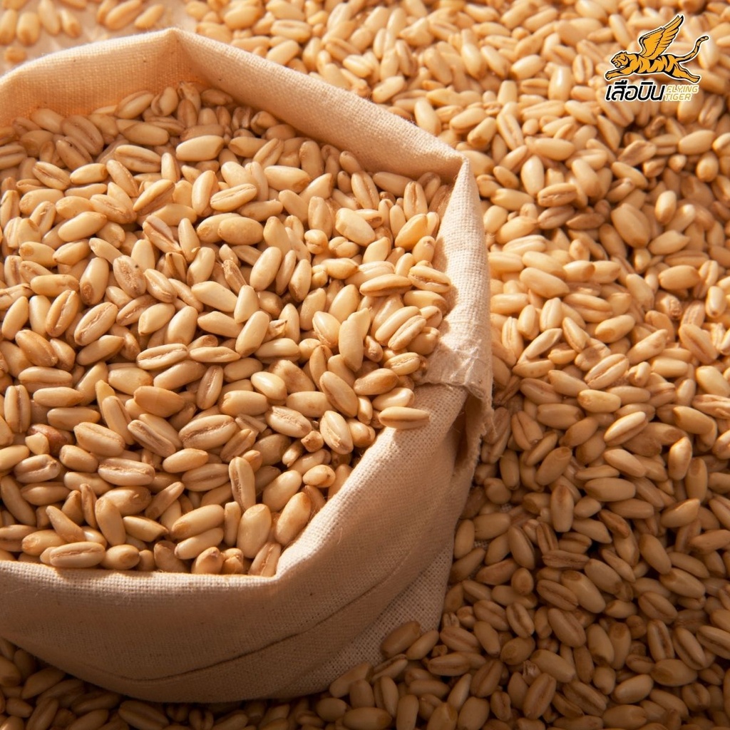 ข้าวบาร์เลย์ 1 กก. ตราเสือบิน