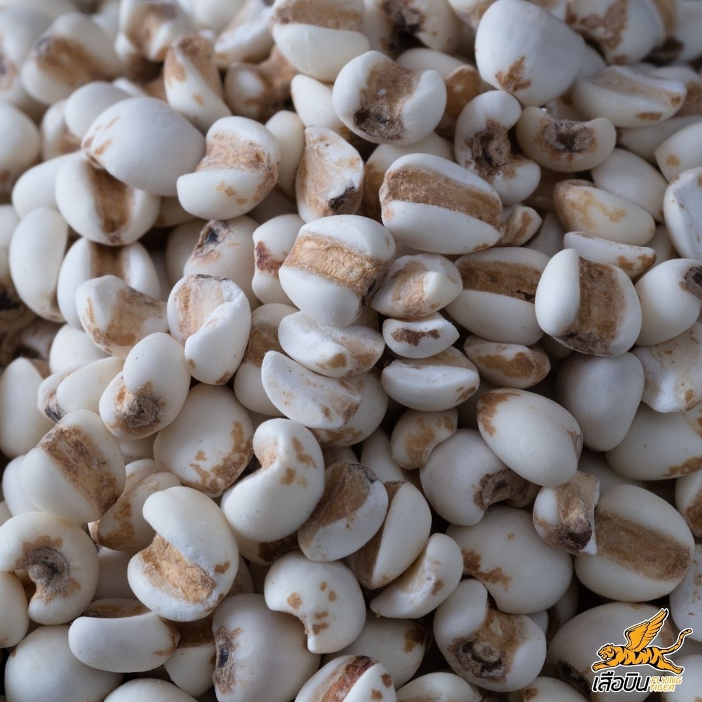 ลูกเดือย 1 กก. ตราเสือบิน