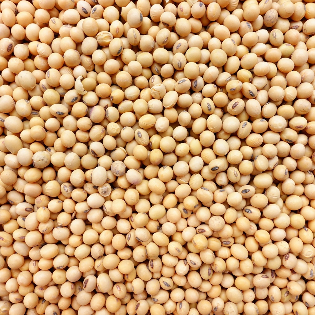 ถั่วเหลืองเม็ด 500 ก. ตราเสือบิน