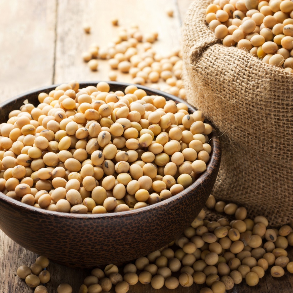 ถั่วเหลืองเม็ด 500 ก. ตราเสือบิน